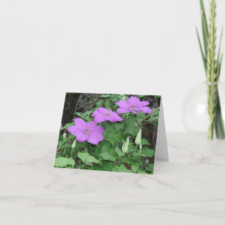 purple clematis card