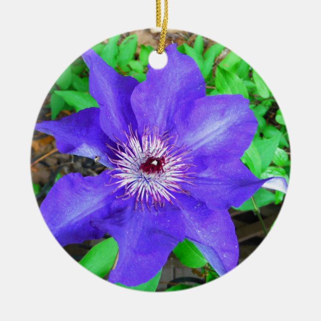 Purple Clematis Flower Ceramic Tree Decoration (Front)