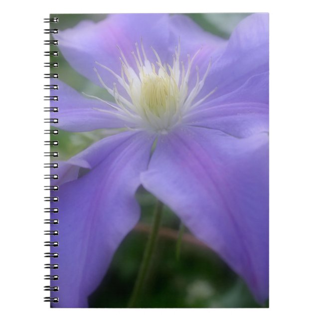 Purple Clematis Flower Nature Notebook (Front)