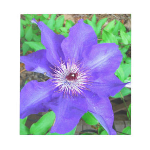Purple Clematis Flower Notepad