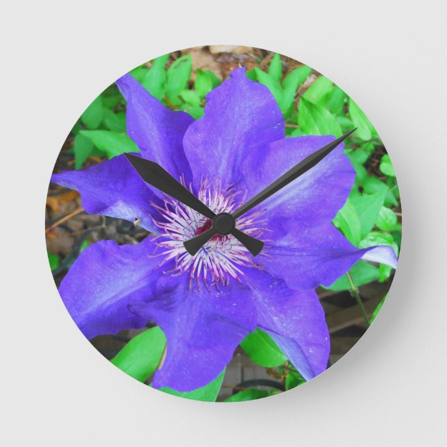 Purple Clematis Flower Round Clock (Front)