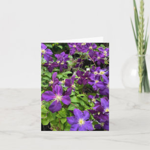 Purple Clematis Flowers And Leaves Photograph Card