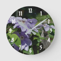 Purple Clematis Flowers On Fence