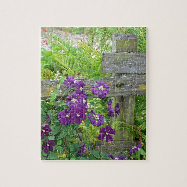 Purple clematis flowers on wooden fence jigsaw puzzle (Vertical)