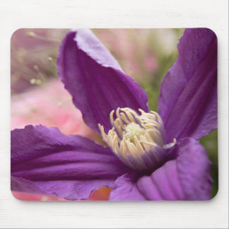 "Purple Clematis Macro – Elegant Floral Mouse Pad" Pad
