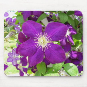 Purple Clematis Mouse Pad