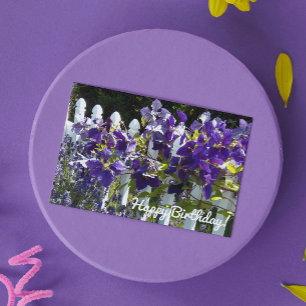 Purple Clematis on White  Fence Floral Birthday Card