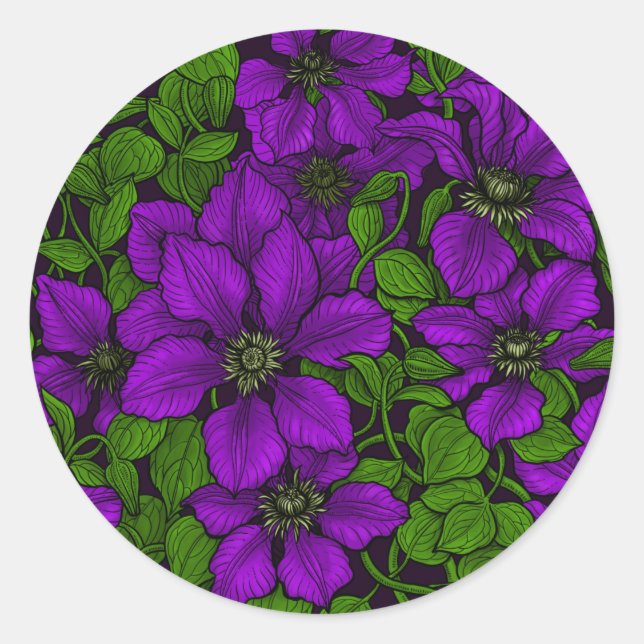 Purple Clematis vine Classic Round Sticker (Front)
