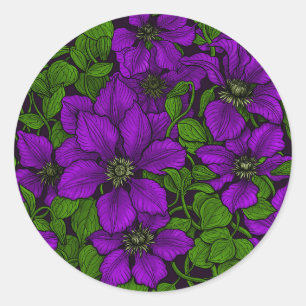 Purple Clematis vine Classic Round Sticker