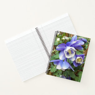 Purple Columbine Flowers Floral Notebook