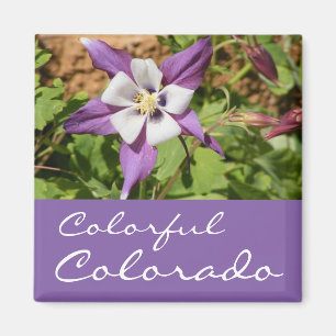 Purple Columbine Magnet