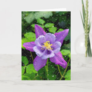 Purple Columbine With Raindrops Card