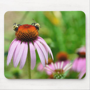 Purple Cone Flower Mouse Pad
