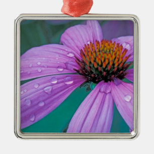 Purple Cone flower with water drops Metal Tree Decoration