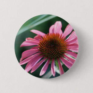 Purple Coneflower Button