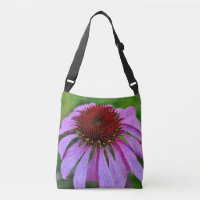 Purple Coneflower