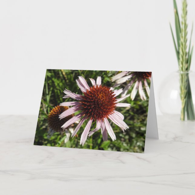 Purple Coneflower Notecard (Front)