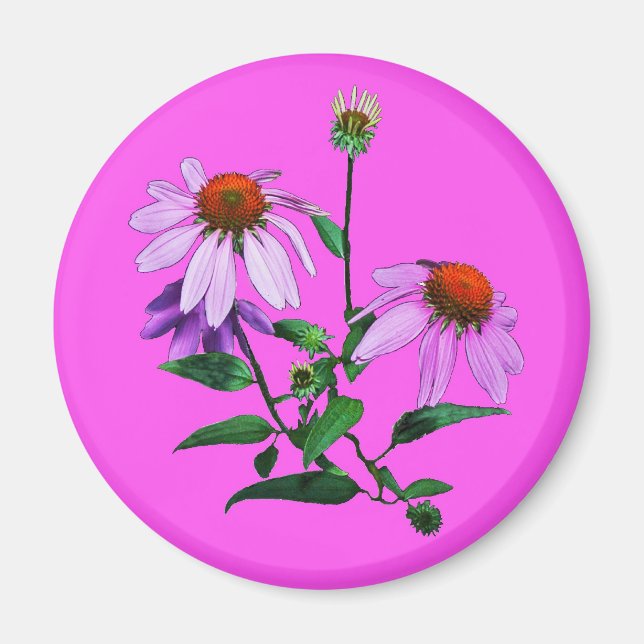 Purple Coneflower On Pink Magnet (Front)