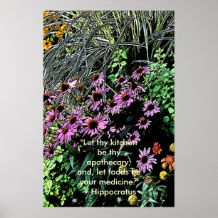 Purple Coneflower Posters