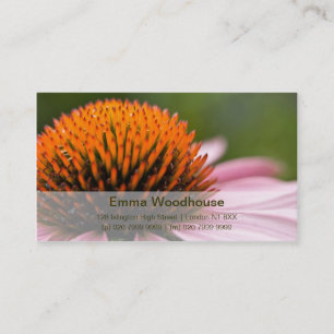 Purple Coneflower Sonnenhut Business Card