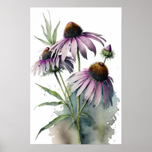 Purple Coneflowers Art Print Poster