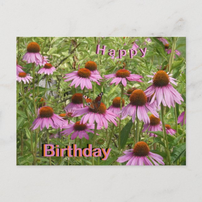 Purple Coneflowers & Butterfly Birthday Postcard (Front)