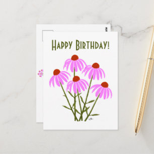 Purple Cornflowers Postcard