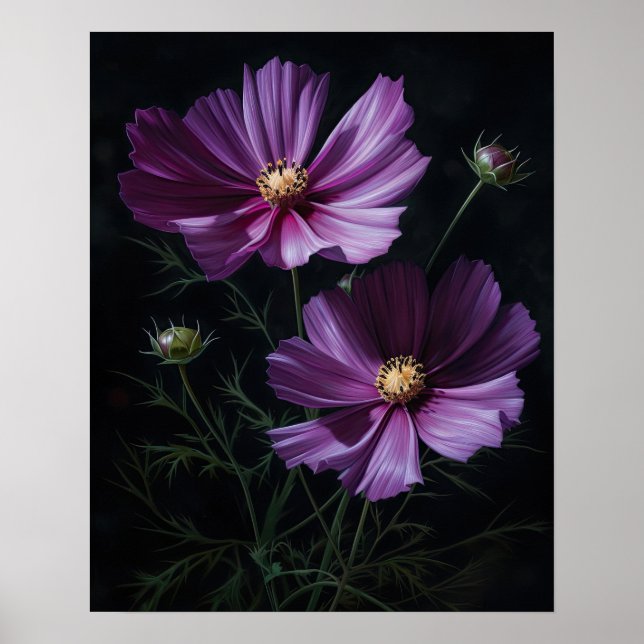 Purple Cosmos Flowers Art Print Poster (Front)