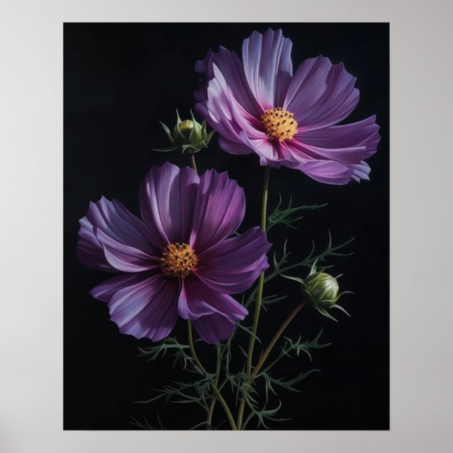 Purple Cosmos Flowers Art Print Poster (Front)