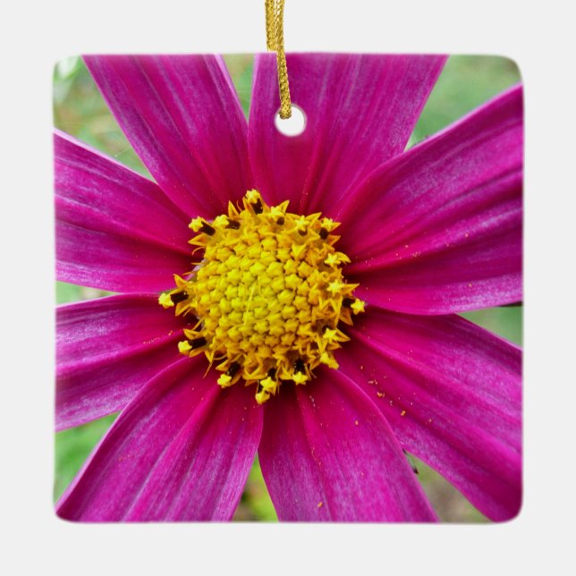 Purple Cosmos Wildflower Ceramic Ornament (Front)