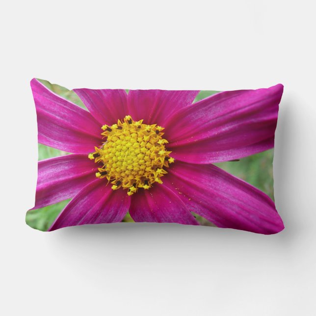 Purple Cosmos Wildflower Lumbar Cushion (Front)
