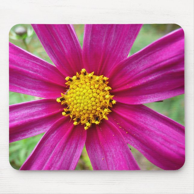 Purple Cosmos Wildflower Mouse Pad (Front)