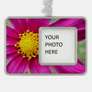 Purple Cosmos Wildflower Silver Plated Framed Ornament