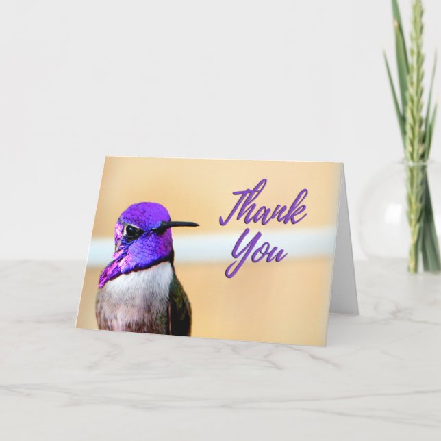 Purple Costa's Hummingbird Photo Thank You Card (Front)