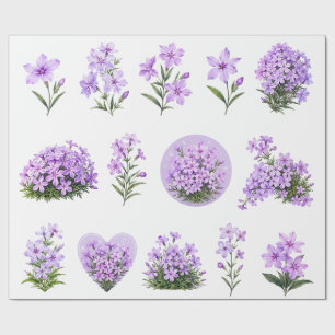 Purple Creeping Phlox Wildflowers Botanical Set Wrapping Paper