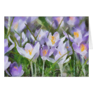Purple Crocus