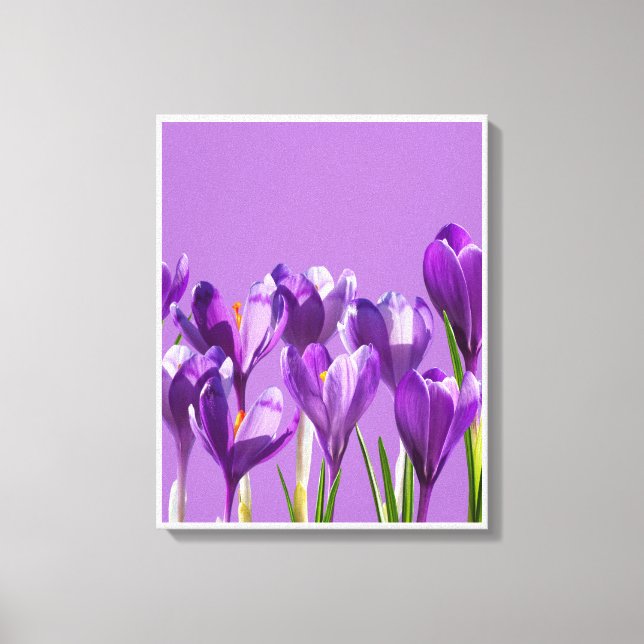 Purple Crocus Awakening Canvas Print (Front)