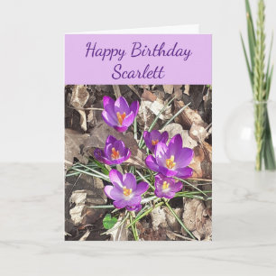 Purple Crocus Birthday Card