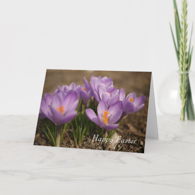 Purple Crocus Easter Greeting Card (Front)