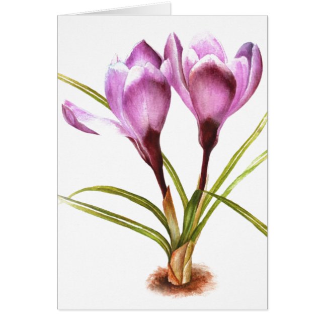 "Purple Crocus" fine art everyday blank card (Front)