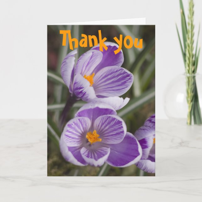 Purple crocus flowers ...  Thank you card (Front)