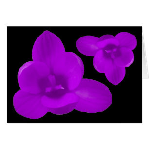 Purple Crocus Greeting Card