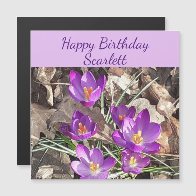 Purple Crocus Magnetic Birthday Card (Front/Back)