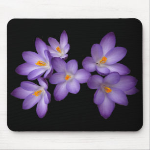 Purple Crocus Mouse Pad