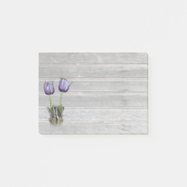 Purple Crocus Prairie Flower Post-it Notes (Front)