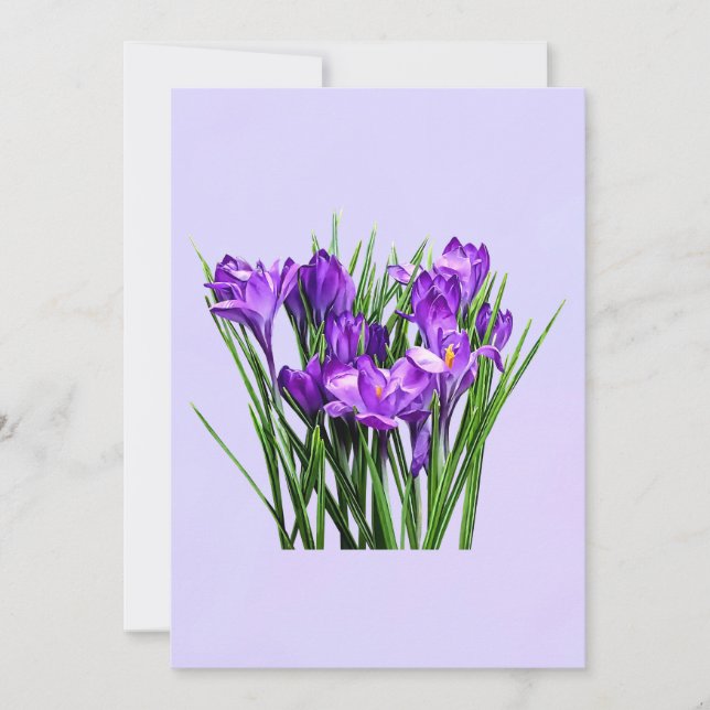 Purple Crocuses (Front)
