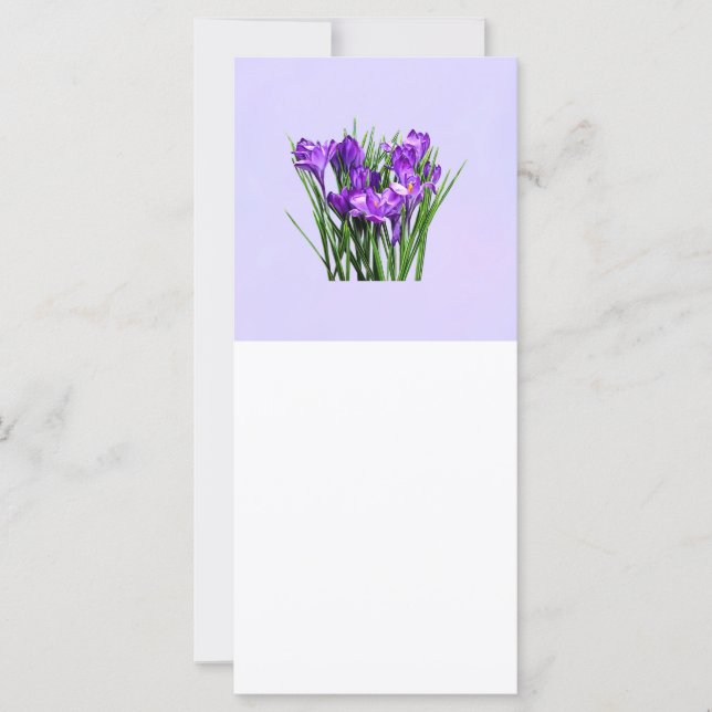 Purple Crocuses (Front)