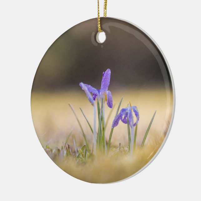 Purple Crocuses Ceramic Tree Decoration (Left)