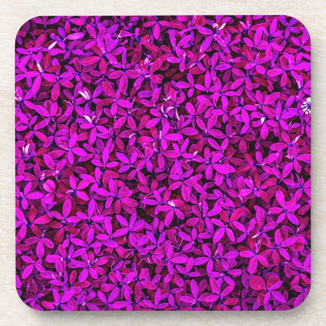 purple Cute Flowers-23209 Coaster (Front)