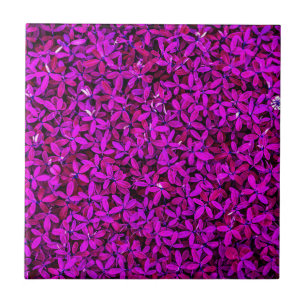 purple Cute Flowers Tile